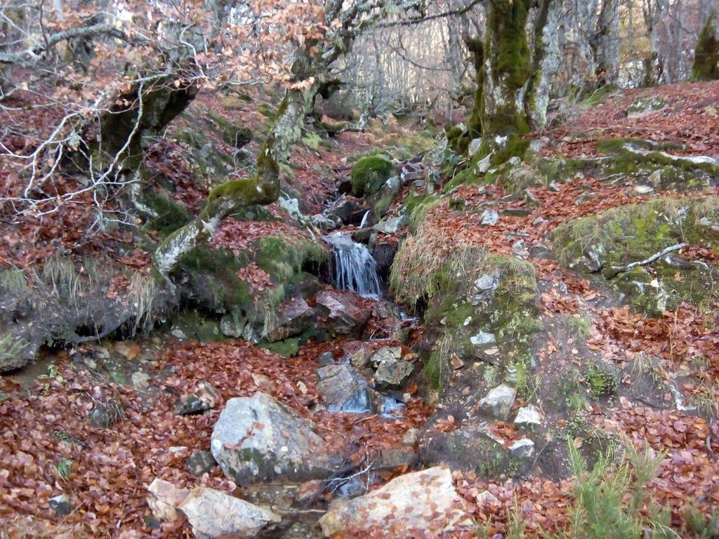 Apartamentos Monte Hernanz Riaza Εξωτερικό φωτογραφία